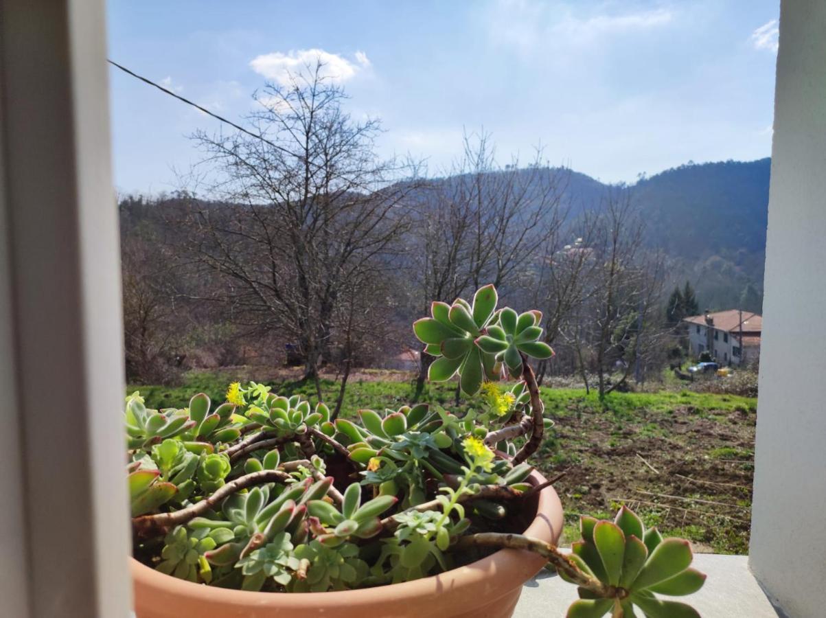 Casa Dei Giuggioli Villa Vernazza Dış mekan fotoğraf
